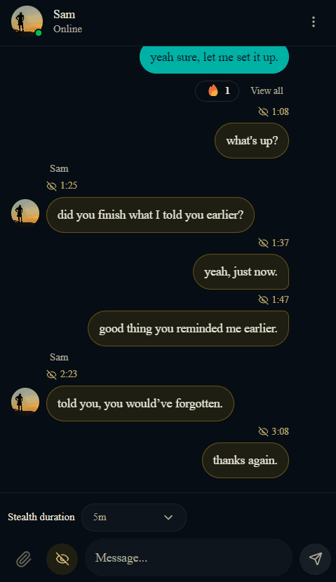 Stealth message preview with countdown