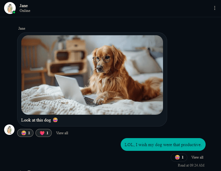 Sending media preview